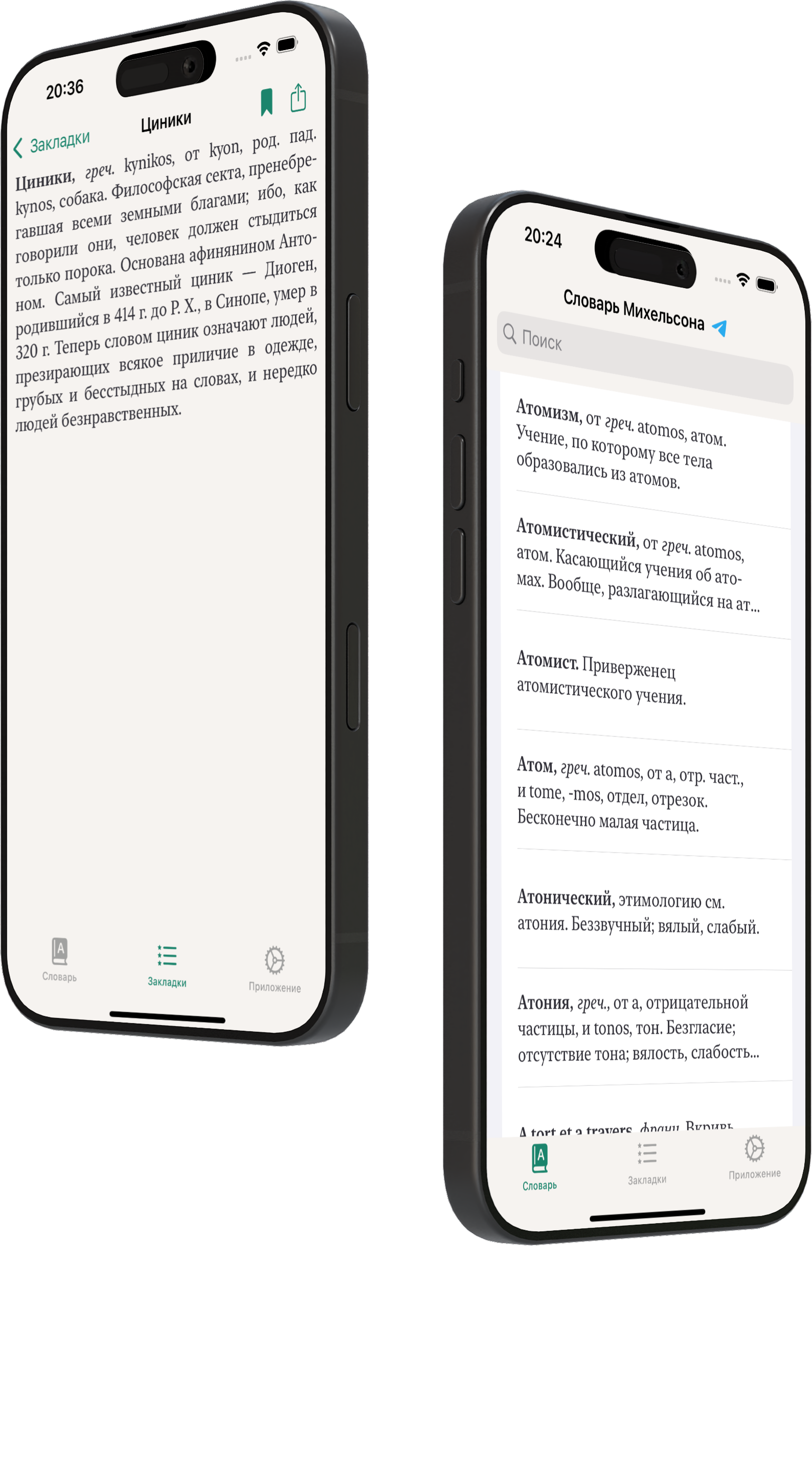 Mikhelson dictionary — app interface on iPhone